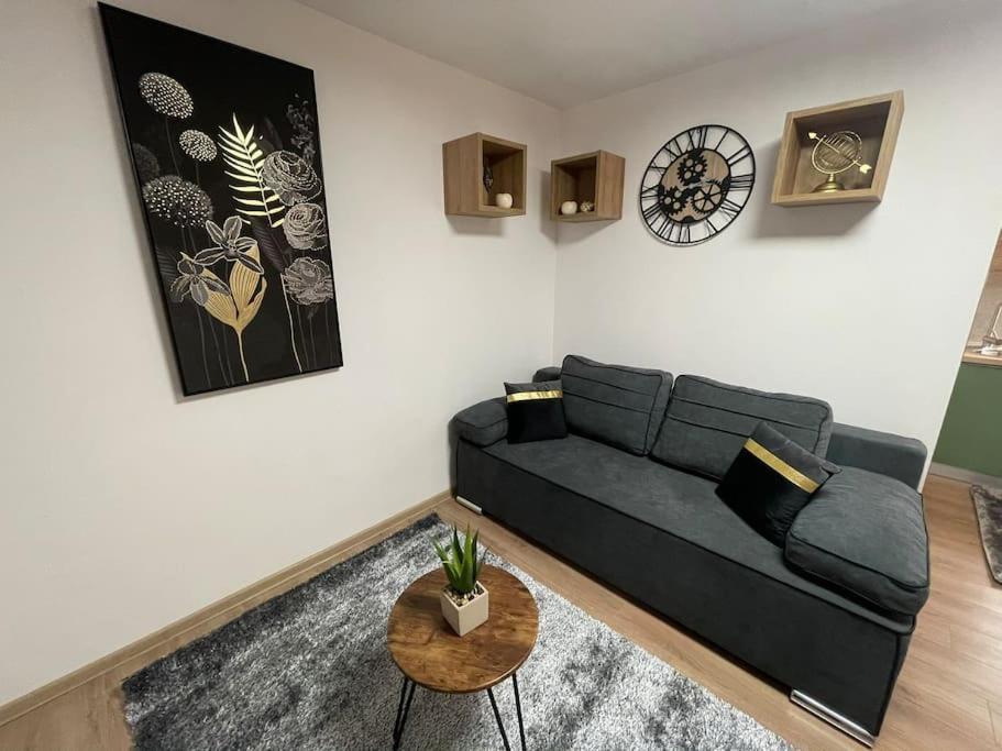 Apartman 4You: Karlo I Klara Osijek Exterior foto