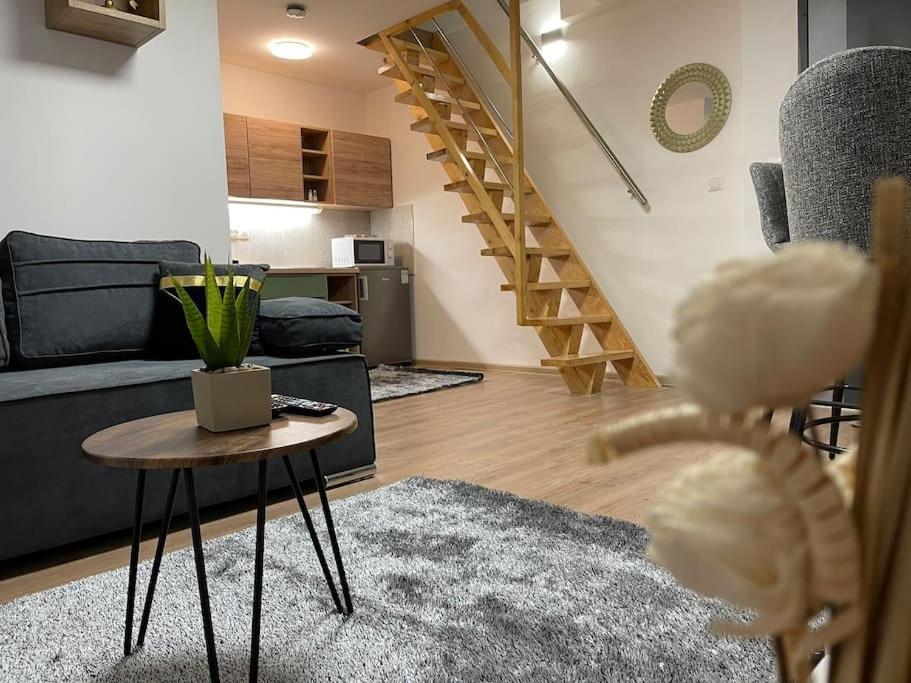 Apartman 4You: Karlo I Klara Osijek Exterior foto